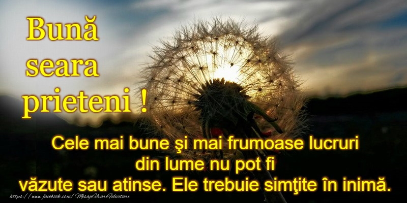 Buna seara prieteni!