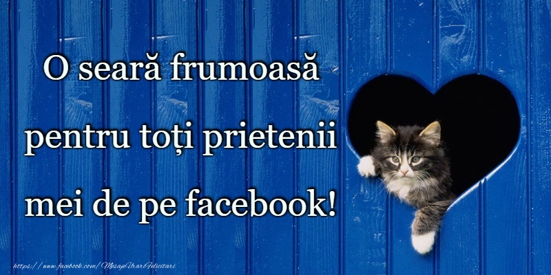 Buna seara prieteni!