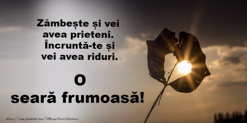 Buna seara prieteni!