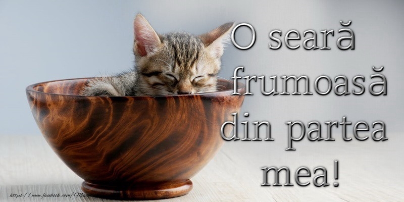 Buna seara prieteni!