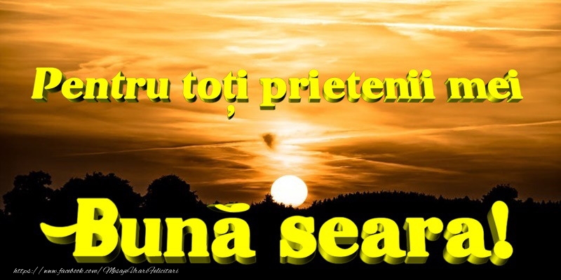 Buna seara prieteni!