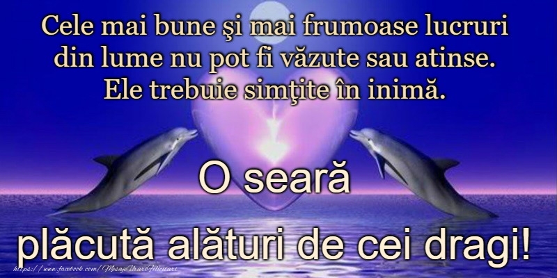 Buna seara prieteni!