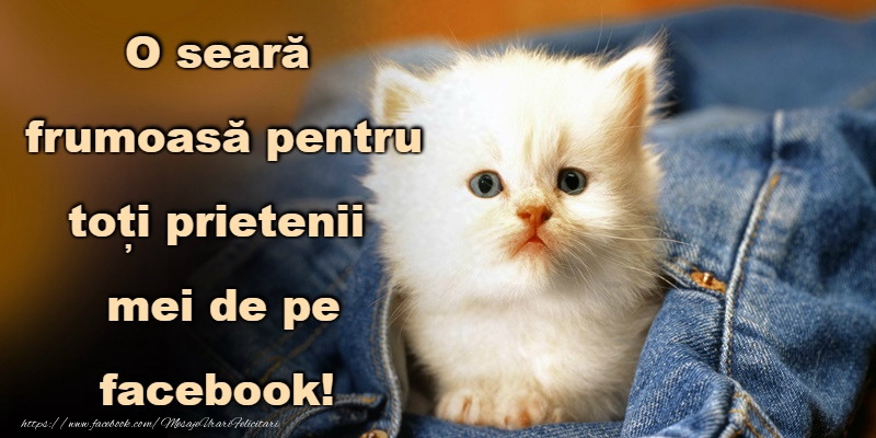 Buna seara prieteni!