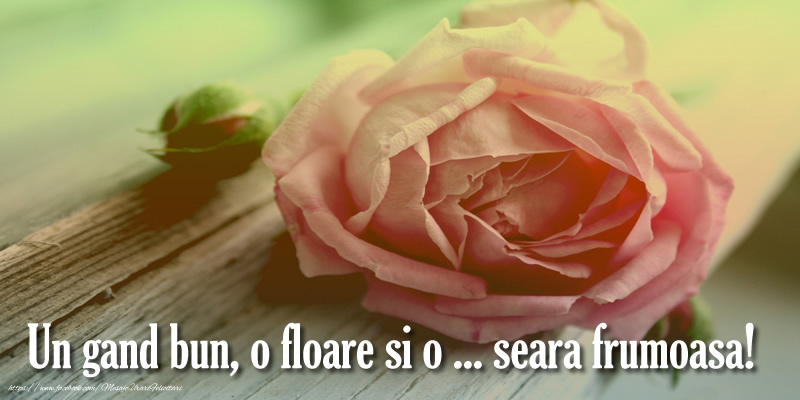 Un gand bun, o floare si o ... seara frumoasa!