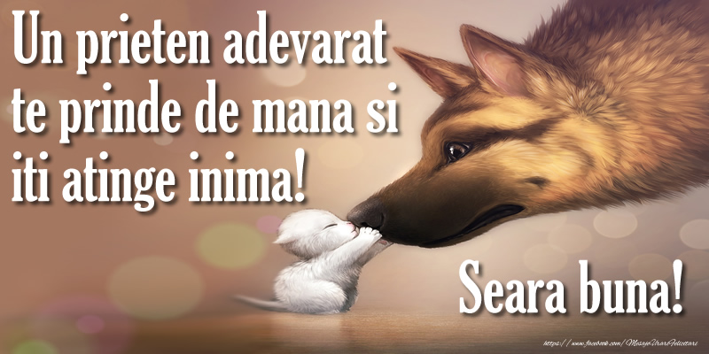 Un prieten adevarat te prinde de mana si iti atinge inima! Seara buna!