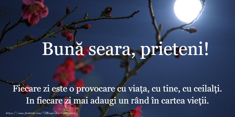 O seara minunata prieteni!