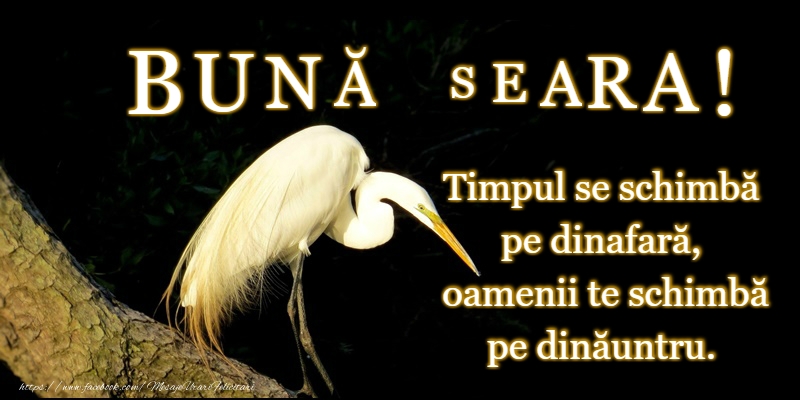 O seara minunata prieteni!