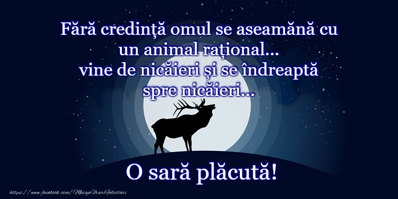 O seara minunata prieteni!