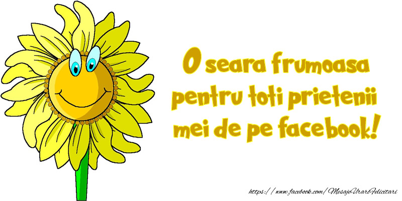 O seara frumoasa pentru toti prietenii mei de pe facebook!
