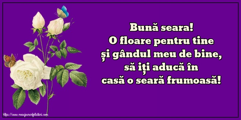 Buna seara Bună seara!