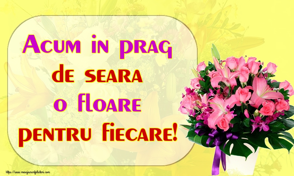 Acum in prag de seara o floare pentru fiecare!