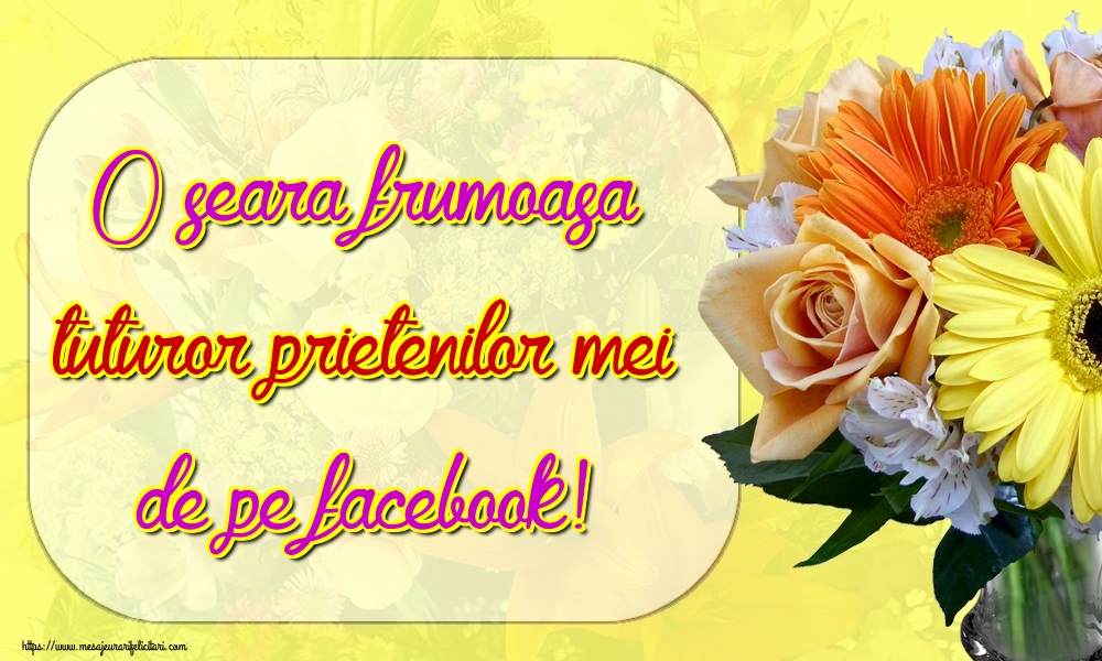 O seara frumoasa tuturor prietenilor mei de pe facebook!