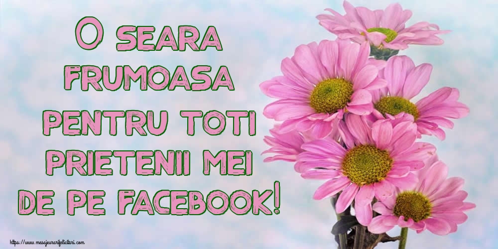 O seara frumoasa pentru toti prietenii mei de pe facebook!