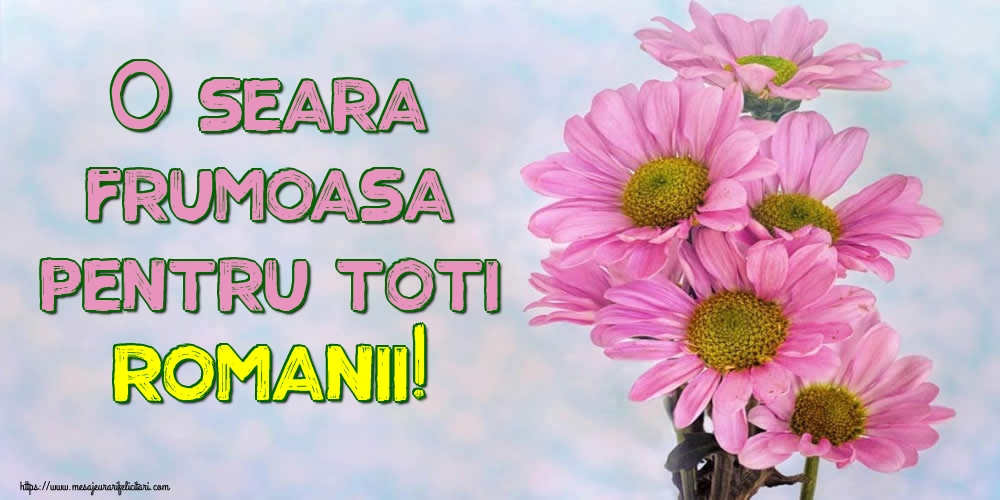 O seara frumoasa pentru toti romanii!