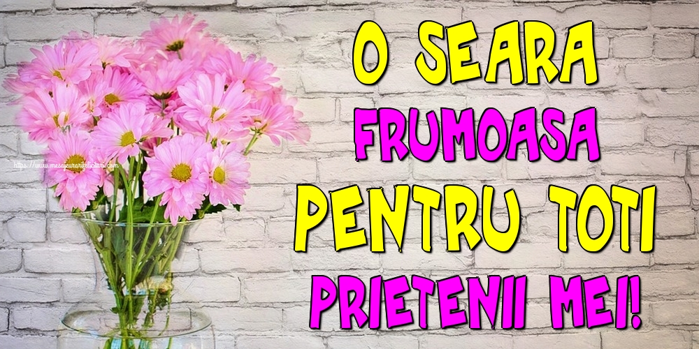 O seara frumoasa pentru toti prietenii mei!