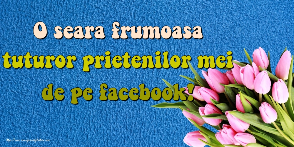 O seara frumoasa tuturor prietenilor mei de pe facebook!