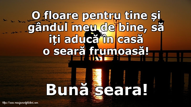 Bună seara!