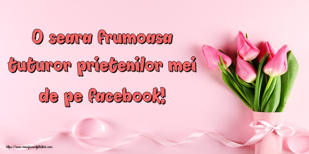 O seara frumoasa tuturor prietenilor mei de pe facebook!