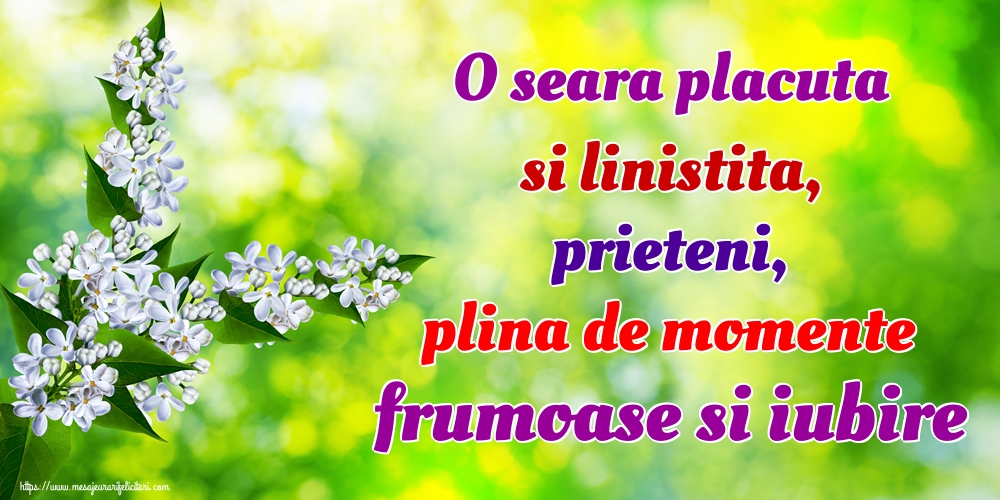 O seara placuta si linistita, prieteni, plina de momente frumoase si iubire