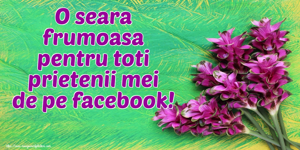 O seara frumoasa pentru toti prietenii mei de pe facebook!