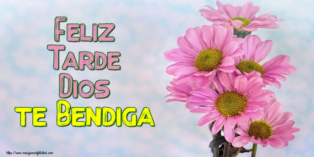 Felicitari de buna seara in Spaniola - Feliz Tarde Dios te Bendiga