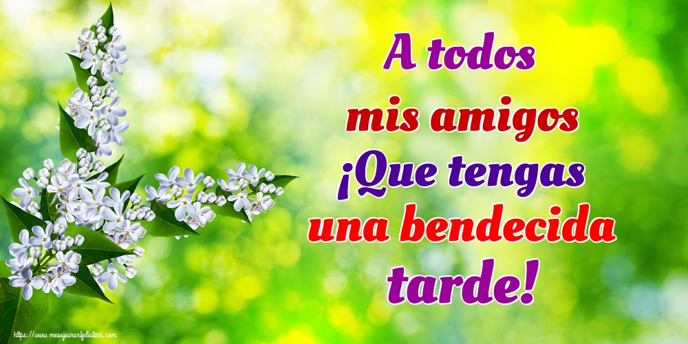 Felicitari de buna seara in Spaniola - A todos mis amigos ¡Que tengas una bendecida tarde!