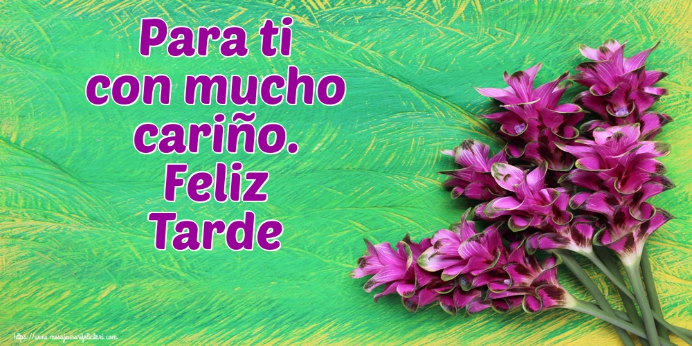 Felicitari de buna seara in Spaniola - Para ti con mucho cariño. Feliz Tarde
