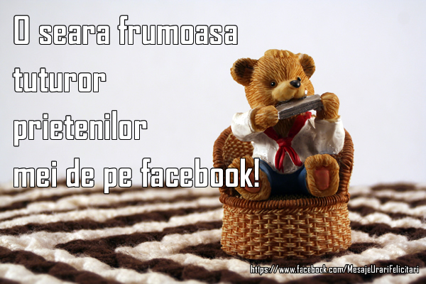 O seara frumoasa tuturor prietenilor mei de pe facebook!