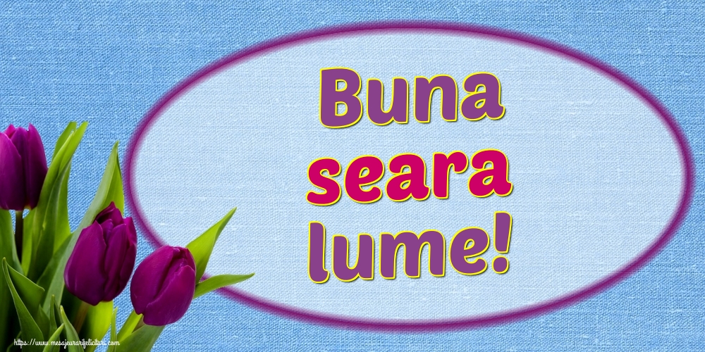 Buna seara lume!