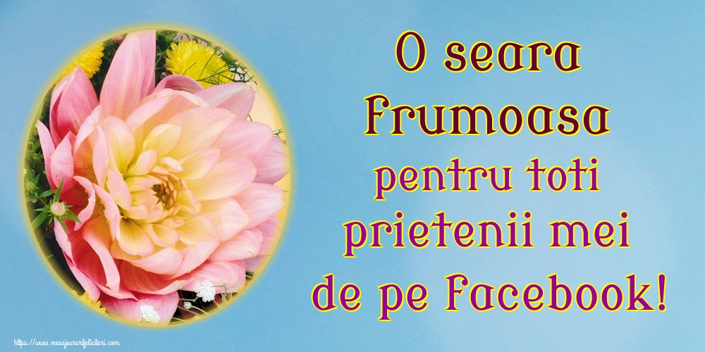 O seara frumoasa pentru toti prietenii mei de pe facebook!