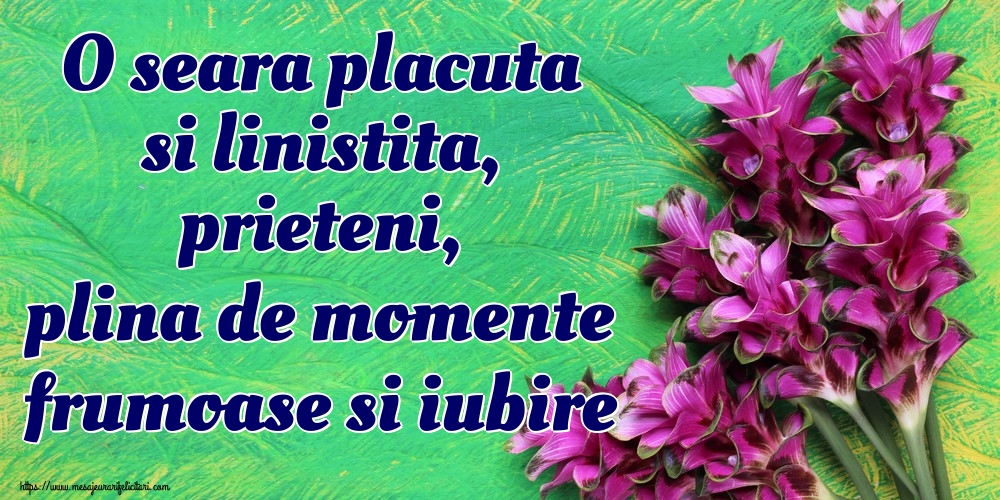 O seara placuta si linistita, prieteni, plina de momente frumoase si iubire