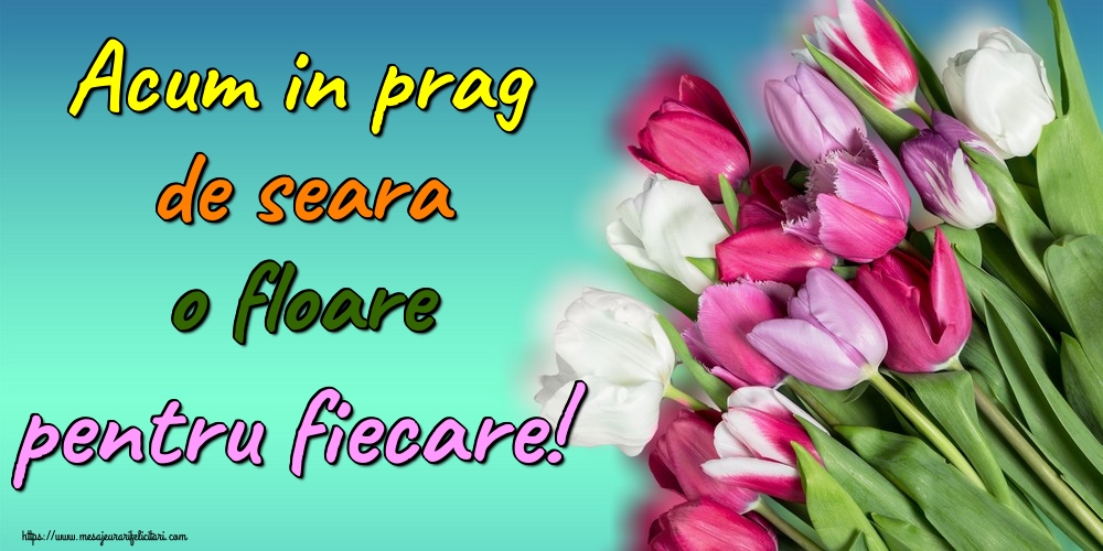 Acum in prag de seara o floare pentru fiecare!