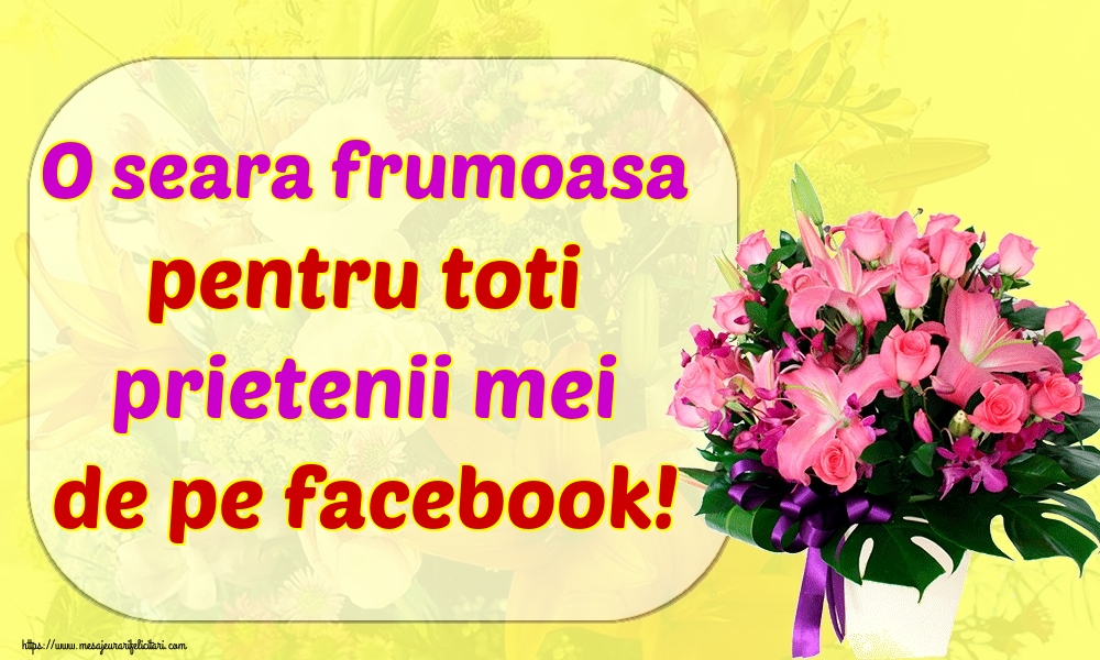 O seara frumoasa pentru toti prietenii mei de pe facebook!
