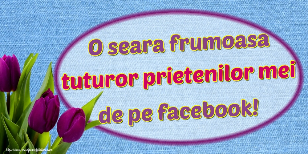 O seara frumoasa tuturor prietenilor mei de pe facebook!