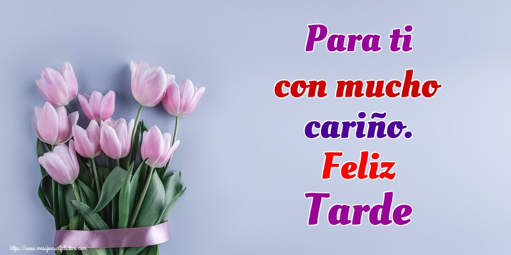 Felicitari de buna seara in Spaniola - Para ti con mucho cariño. Feliz Tarde