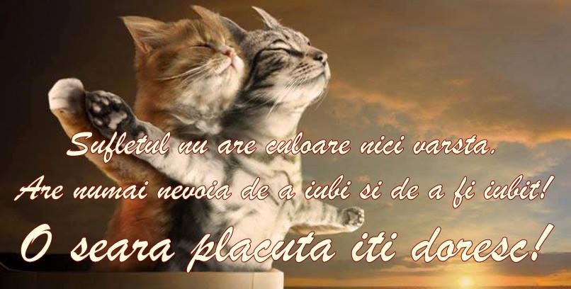 Sufletul nu are culoare nici varsta. Are numai nevoia de a iubi si de a fi iubit. O seara placuta iti doresc!