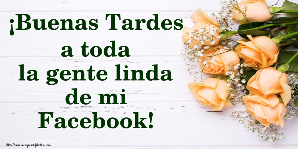 Felicitari de buna seara in Spaniola - ¡Buenas Tardes a toda la gente linda de mi Facebook!