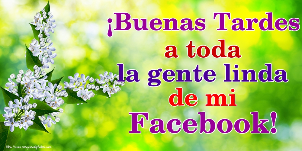 Felicitari de buna seara in Spaniola - ¡Buenas Tardes a toda la gente linda de mi Facebook!