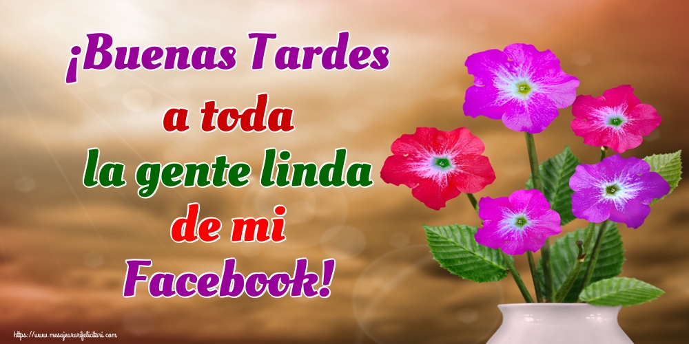Felicitari de buna seara in Spaniola - ¡Buenas Tardes a toda la gente linda de mi Facebook!