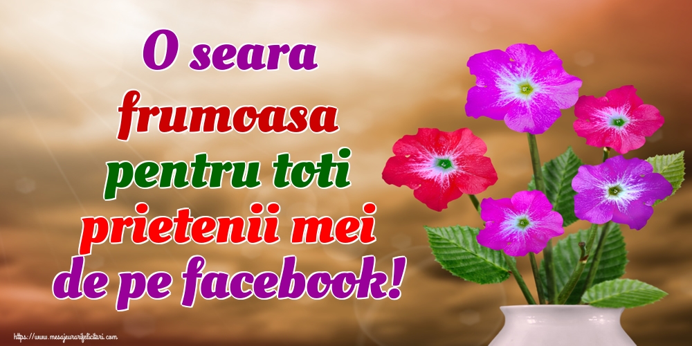 O seara frumoasa pentru toti prietenii mei de pe facebook!