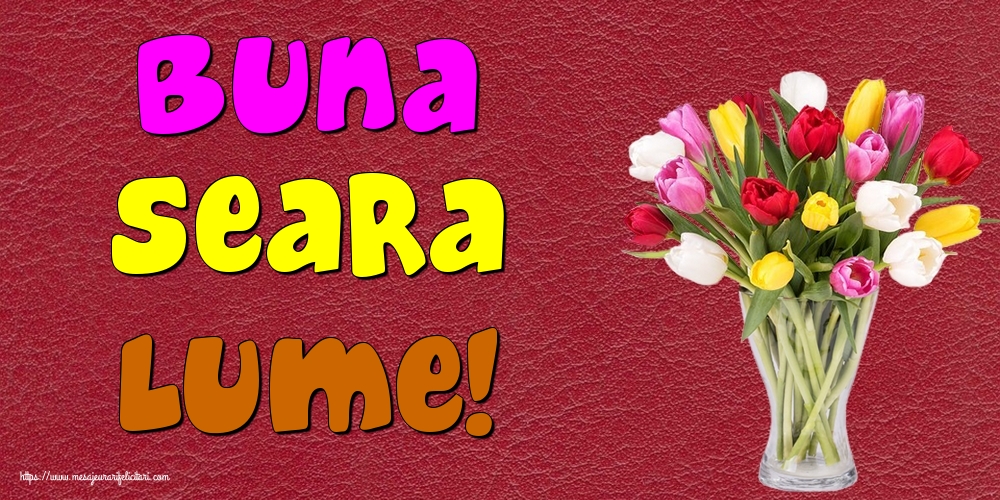 Buna seara lume!