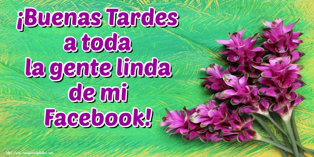 Felicitari de buna seara in Spaniola - ¡Buenas Tardes a toda la gente linda de mi Facebook!