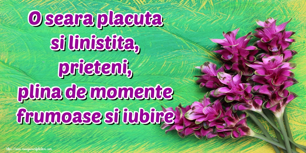 O seara placuta si linistita, prieteni, plina de momente frumoase si iubire