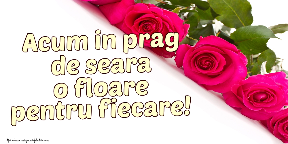 Acum in prag de seara o floare pentru fiecare!