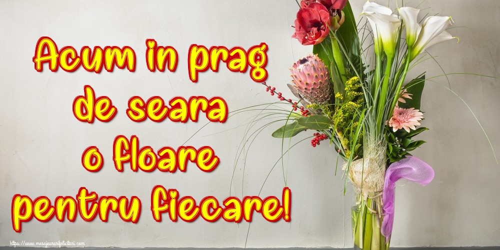 Acum in prag de seara o floare pentru fiecare!