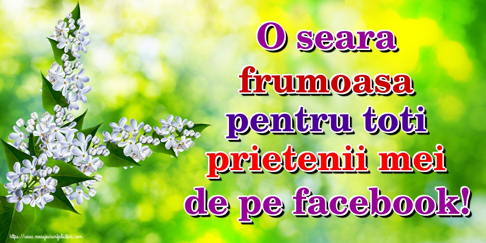 O seara frumoasa pentru toti prietenii mei de pe facebook!