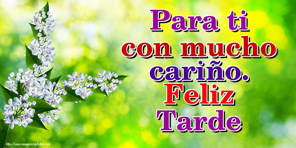 Felicitari de buna seara in Spaniola - Para ti con mucho cariño. Feliz Tarde