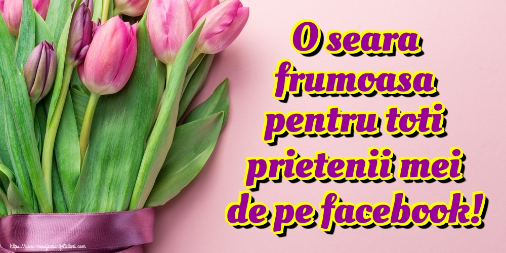O seara frumoasa pentru toti prietenii mei de pe facebook!