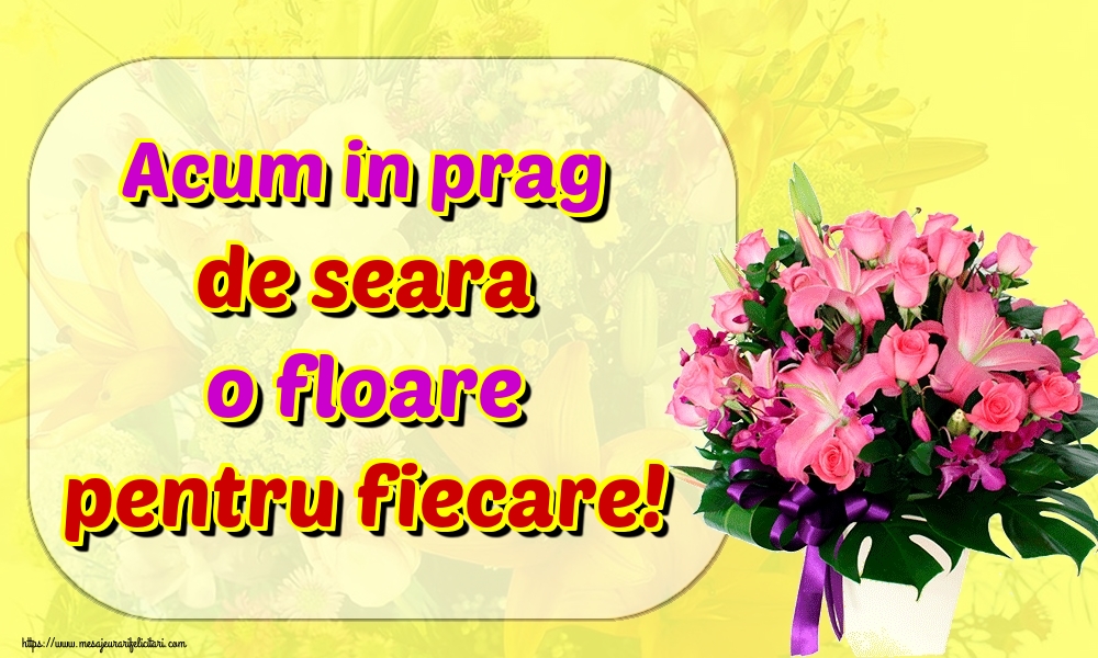Acum in prag de seara o floare pentru fiecare!