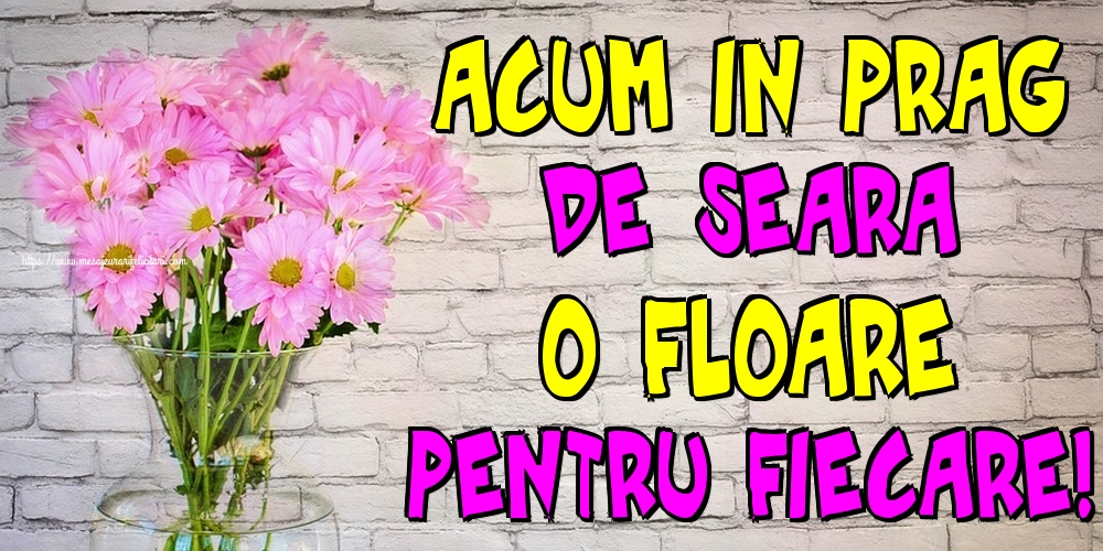 Acum in prag de seara o floare pentru fiecare!